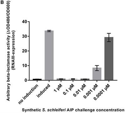 Corrigendum: Cross-Talk between Staphylococcus aureus and Other Staphylococcal Species via the agr Quorum Sensing System